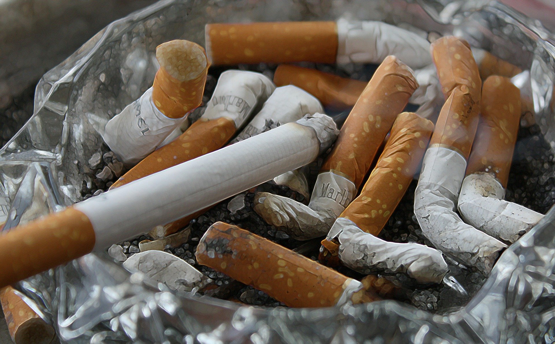 Lower Myostatin Levels. cigarette. smoke. smoking. ashtray. www.blisslife.in