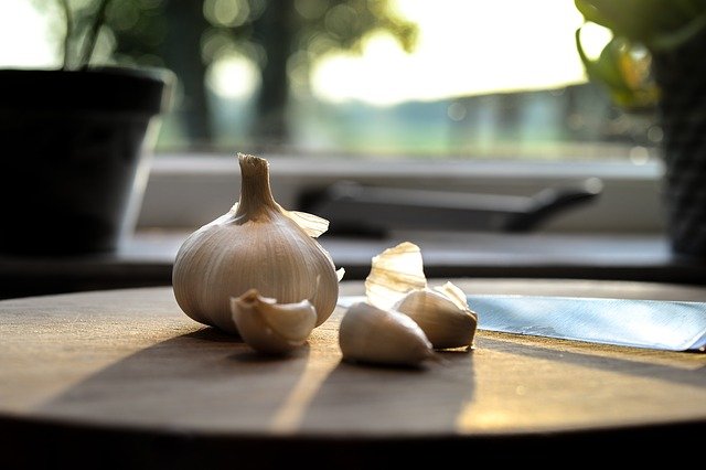 Benefits of Garlic in Human Body